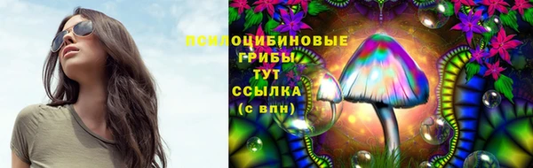 винт Медвежьегорск
