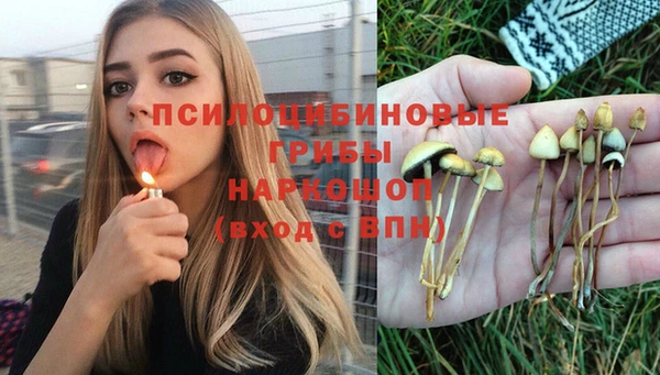меф Мегион