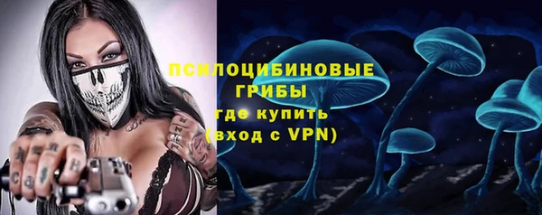 винт Медвежьегорск