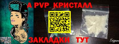 mdpv Гатчина