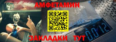 шишки Гай