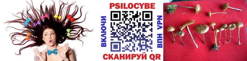 Галлюциногенные грибы ЛСД наркота hydra зеркало Ефремов